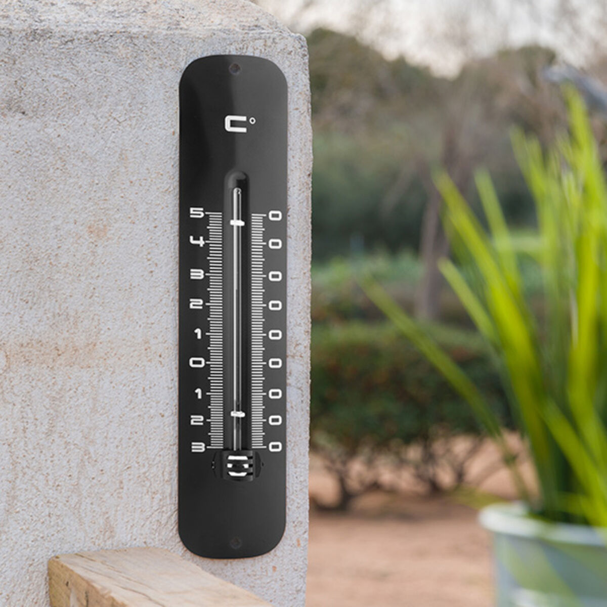 Environmental thermometer Garden-0