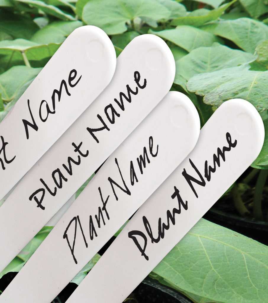 50 x Plastic Plant Labels-2
